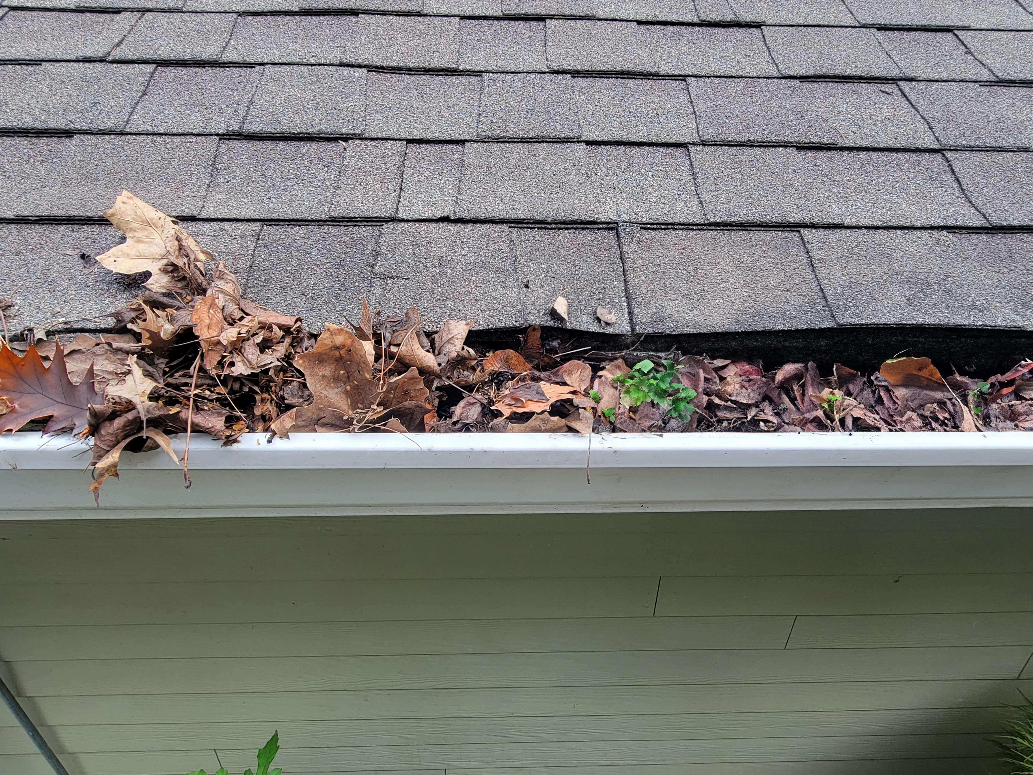 Clogged gutters filled with leaves and debris before Active Guard installation